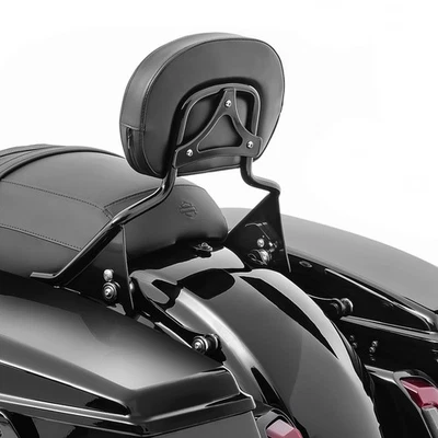Sissybar abnehmbar für Harley Davidson Touring 09-24 FR9 schwarz gebraucht - Bild 1 von 4