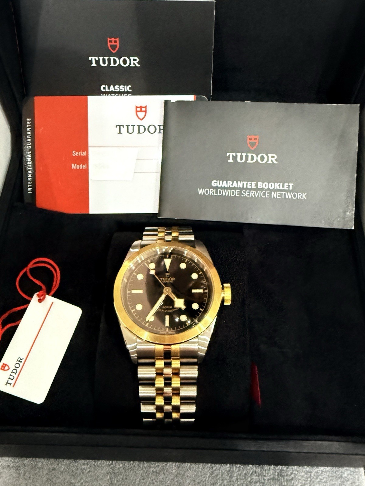 TUDOR Silver And Gold