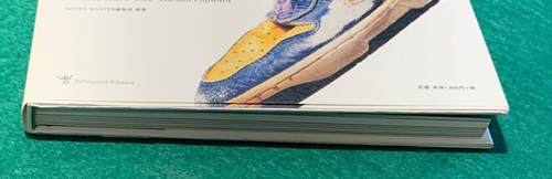 Sneaker Tokyo Vol 2 Hiroshi Fujiwara Billingual Edition 1980s-2010 Shoes Master - Picture 10 of 13