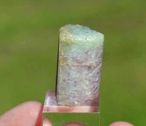 Turmalina Var. Elbaite 15 Gramos - Mina Himalaya, Gem Hill, California, EE. UU. - Picture 4 of 6