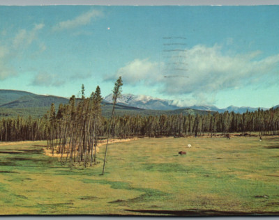NeverSummer Golf Course Grand Lake Colorado CO. VTG Std PC post1968-pb219