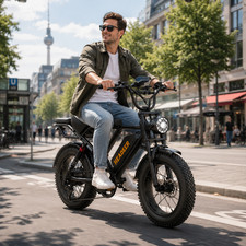 E Bike 20"x4.0, 80km Reichweite Ebike für Erwachsene …