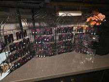 Girls paparazzi earrings -All Brand New