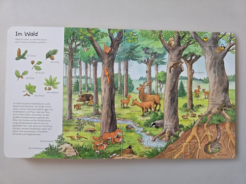 6 x Kartonbuch. Wimmelbuch Zahlen Natur Hunde Wichtel Wochentag Sammlung - Bild 24 von 24