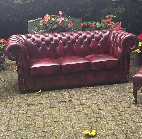 Chesterfield Claridge 3 Sitz Luxus Rinder Narben leder Sofa Luxus Echt leder - Bild 23 von 24