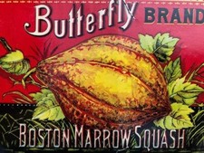 Antique Can Label 1890s Olney Floyd Butterfly Brand Boston Marrow Orange Squash