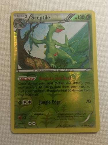 Sceptile 8/160 Rare Primal Clash Pokemon Reverse Holo Lightly Played