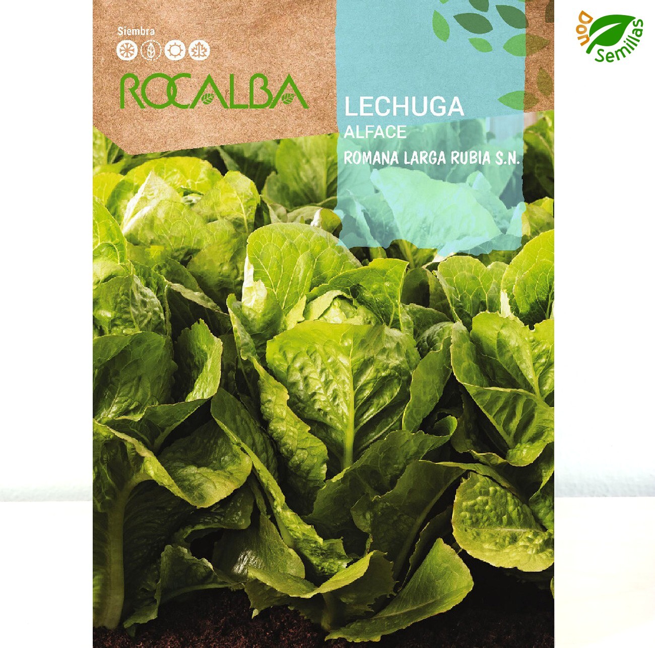 Lechuga Romana Larga Rubia Oreja de Mulo ( 6 gr / 4.200 semillas ) seeds