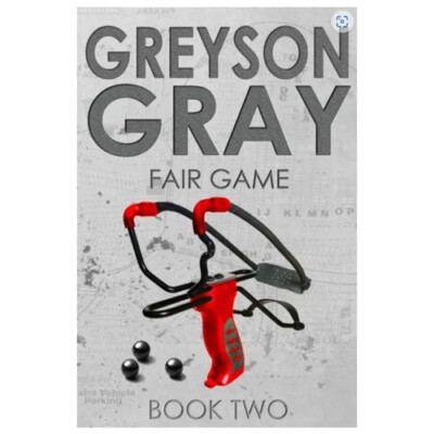 Greyson Gray: Fair Game, The Greyson Gray #2 by B.C. Tweedt (2013, Paperback)