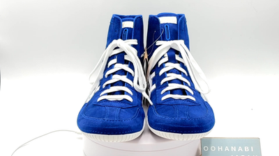 ASICS 1083A001 EX-EO Boxing Wrestling Shoes TWR900 Successor Blue