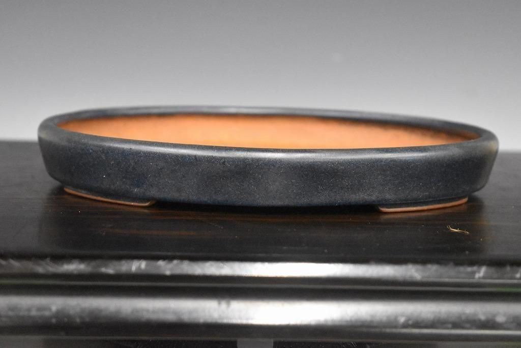 Ruri Glaze Oval Bonsai Pot MINO KENZAN 21.6 cm Wide with Depth