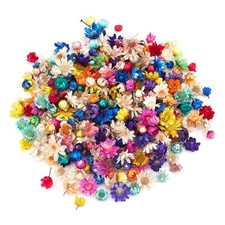 200 Pcs Mini Natural Dried Flowers Small Dried Flowers Heads Natural Brazil L...