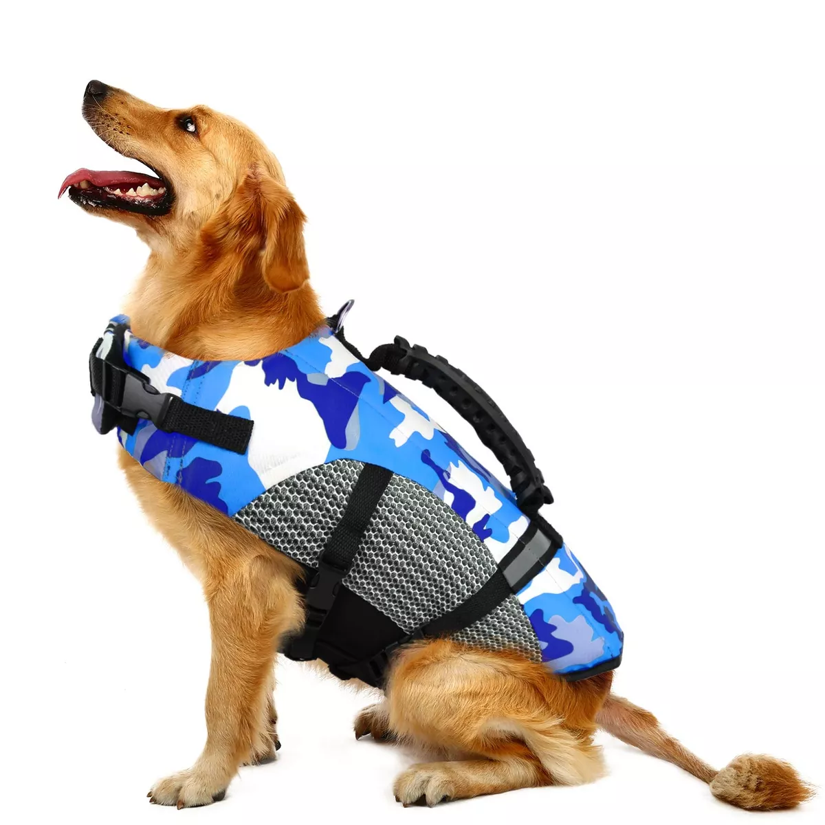 Migohi dog jackets cheap