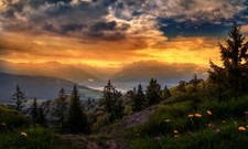 Landscape path trees r sunlight clouds nature flowers Custom Gaming Mat Desk