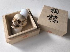 Memento mori Vanitas Skull Ring-D Japanese Skull Artist HATTORI sined with box