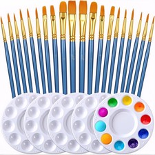 Paint Brush  Palette Set, 20 Brushes with 5 Mixing Trays, Blue