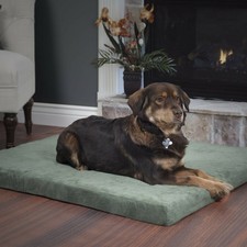 Jumbo 35 x 44 x 3 inches Orthopedic Foam Pet Bed with Washable Cover