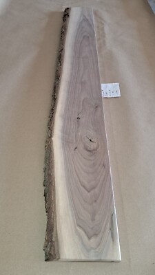 Live Edge Black Walnut Slab