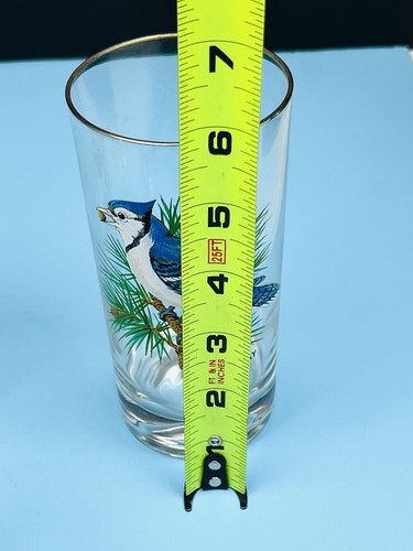 Set of 7 Vintage West Virginia Glass Company Song Bird Gold Rim Drinking Glasses - Picture 12 of 16