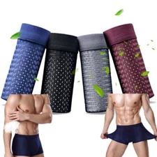 Summer Ice Silk Mesh Soft Panties Men's Knickers Boxer Briefs Shorts Underwear