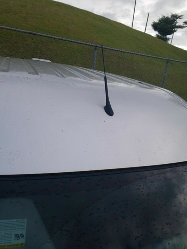 11" Antenna Mast Black Power Radio AM/FM for FORD TRANSIT CONNECT 2010-2023 New - 第 5/24 張圖片