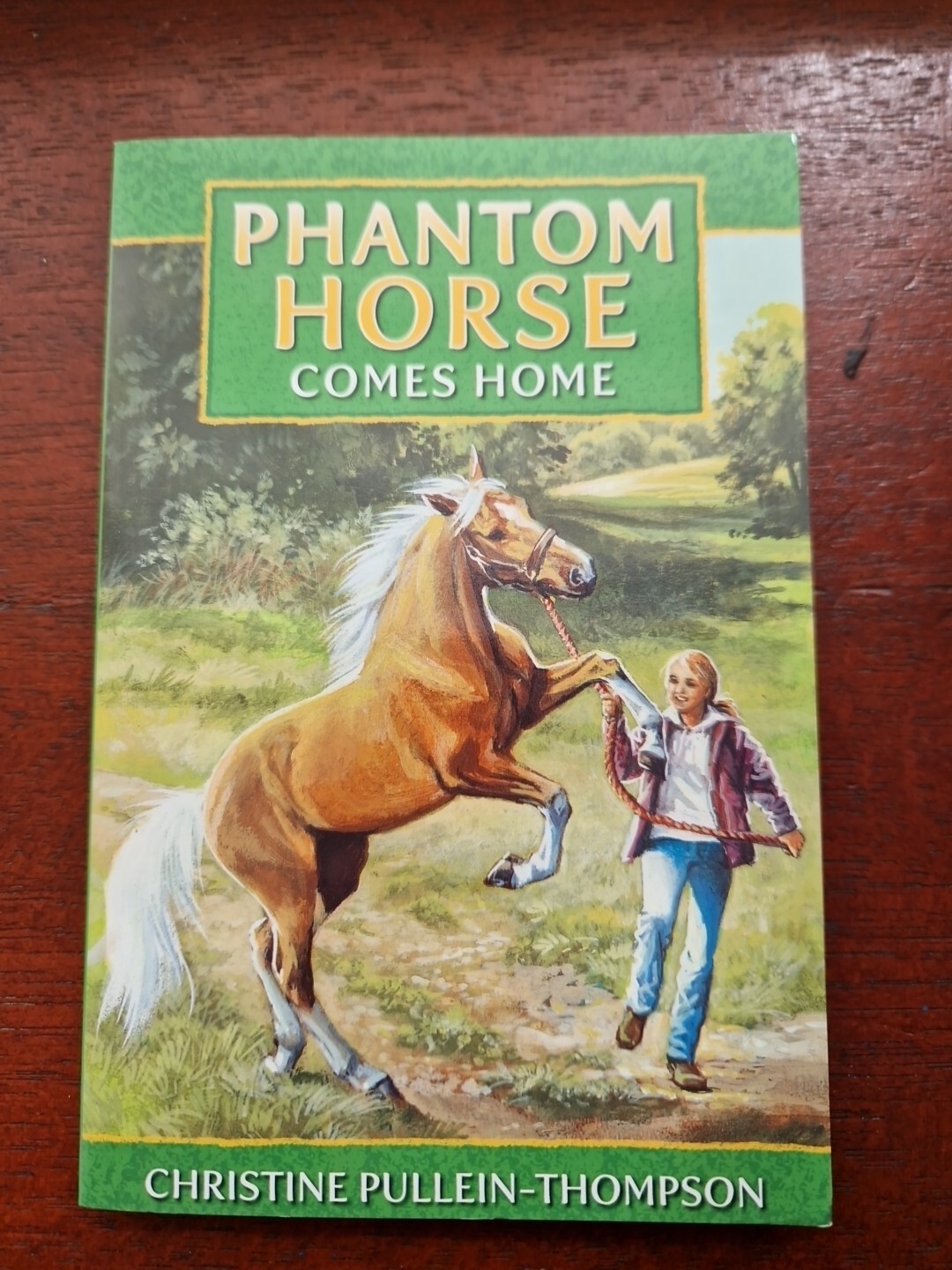 Phantom Horse Comes Home by Christine Pullein-Thompson classic fiction pony NEW