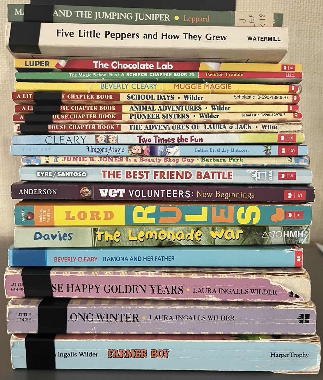100 Children’s Chapter Books Lot Instant Library Homeschool Class Library Lot eBay