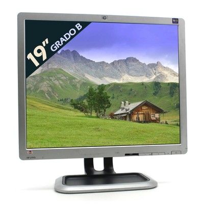 HP L1910 Screen Monitor LCD Display 19 