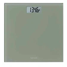 Taylor Glass Digital Bathroom Weight Scale with Sage Finish New Up To 350 Lbs