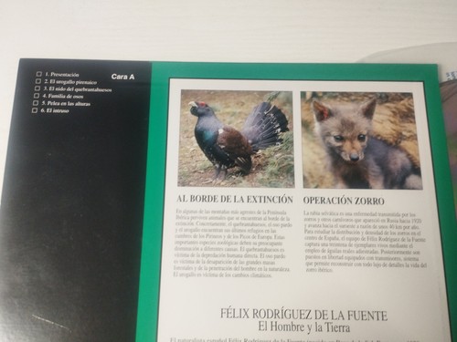 Felix Rodriguez De La Fuente Homme Et La Tierra Bord D'Extinction - LASERDISC LD - Afbeelding 5 van 5