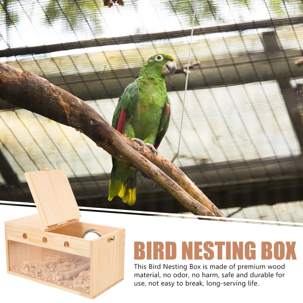 Happypet Bird House Schatzsuche-Ersatz – Bunte Holzteile Für Vögel, Ungiftig