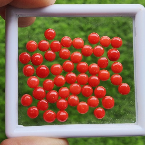 Natürliche rote Koralle runder Cabochon lose kalibriert Edelstein bereit für Schmuck - Bild 1 von 9