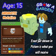 AROMATIC Sunny-Side Chicken. Age/Weight Shown In Photo. Grow A Garden. Same Day