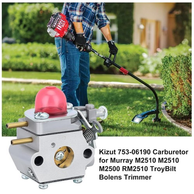 #ad Carburetor for Murray M2510 M2500 Troy Bilt TB22 WT 973 Kit $30.33