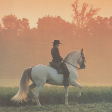 ANDALUSIAN Horse CARD NOT A POSTCARD Woman Riding Dressage
