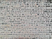 [Not-AI generated] Natural Photo W/P - Bleached Brick Wall [DDT0002] DOWNLOAD