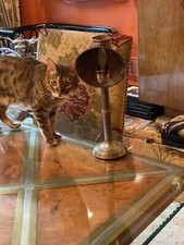 Art Deco Brass Table Lamp cat not included 