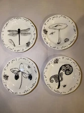 4 Creative Co-op 6”  Insect Plates in Excellent Condition