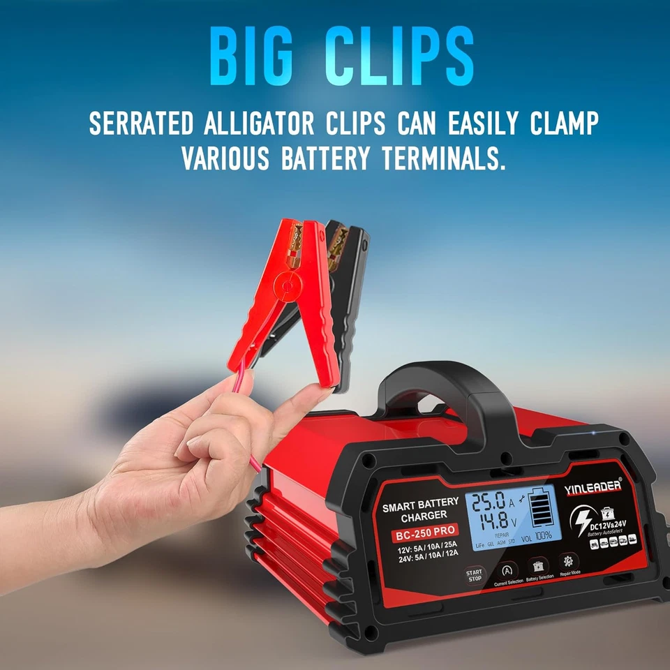 Cargador De Batería Para Automóvil 25A 12V/24V 12A Inteligente Automático Con Pa - Imagen 2 de 4