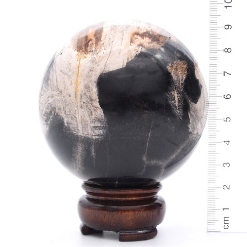 76mm Petrified Fossil Wood Stone Sphere Inc Stand Natural Gemstone Mineral AAA - Picture 4 of 4