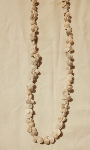 Vintage white cream snail shell Necklace Beach Sun Summer Surfer 17 ” - Picture 3 of 4