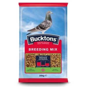 bucktons bird seed