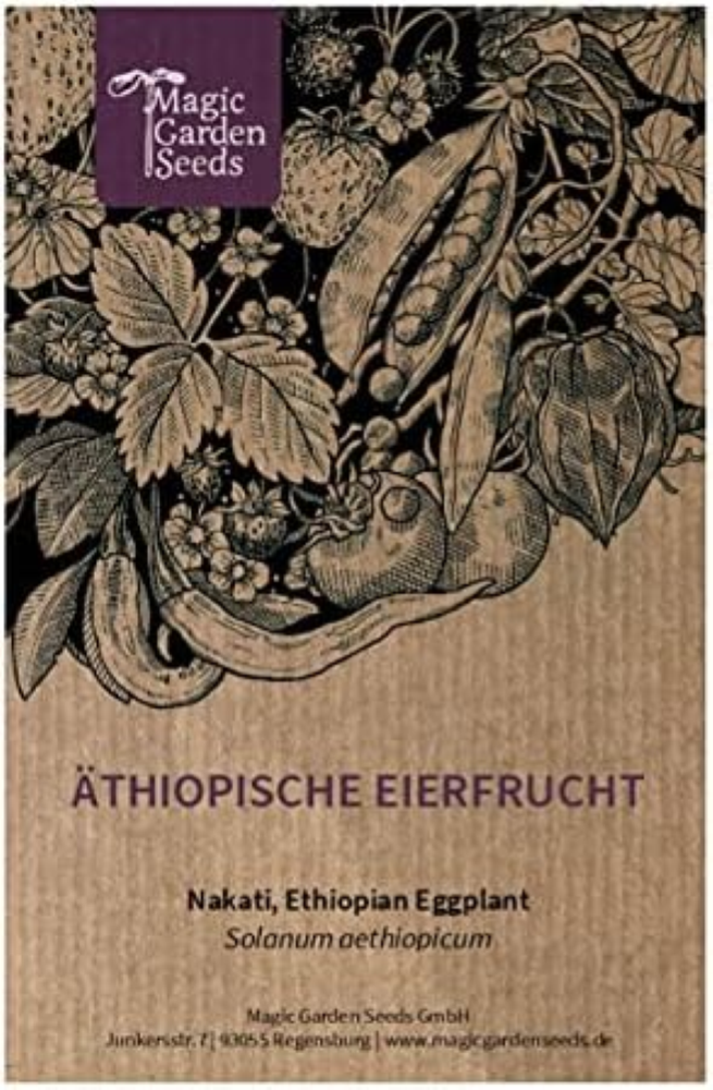 Melanzana etiope (Solanum aethiopicum) - circa 20 semi