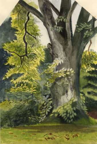 Anna Grant-Duff, Trees at Hampden House, Buckinghamshire – 1873 watercolour - Picture 1 of 2
