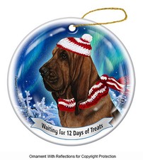 Bloodhound Northern Lights Twelve Days of Treats Holiday Ornament