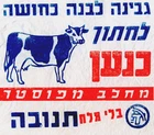 1950s Hebrew ISRAEL TNUVA Dairy KOSHER COW CHEESE Advrtise WRAPPER Cattle JEWISH
