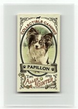 2019 Topps Allen & Ginter #CC-14 Papillon Collectible Canines Minis