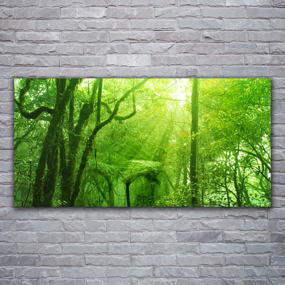 Photo sur toile nature 120x60 pour habiller un grand mur vide de bureau