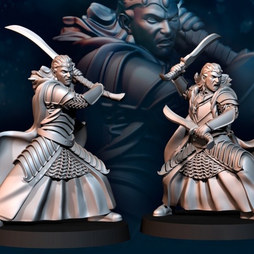 Gemelos High Elf - Imagen 3 de 3