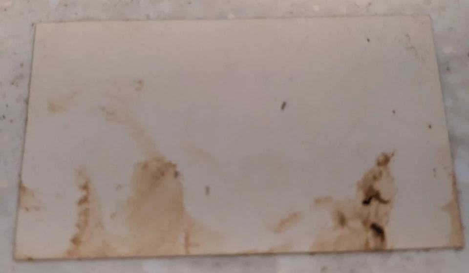 *RARE* VICT. Trade Card TRACY HOUSE CANANDAIGUA, NY BAR  E.D. GULICK PROPRIETOR  - Изображение 2 из 2